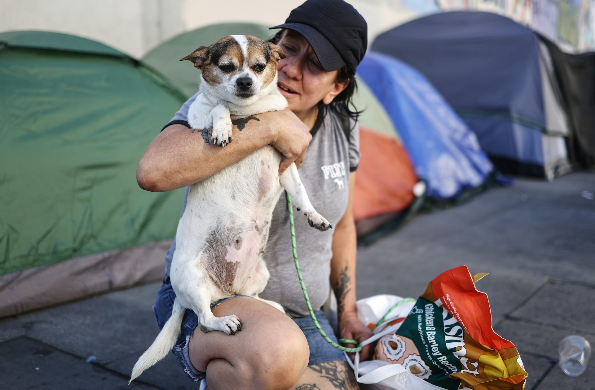 A pet-friendly homeless shelter pilot reduced the rate of homelessness among the people it helped in California