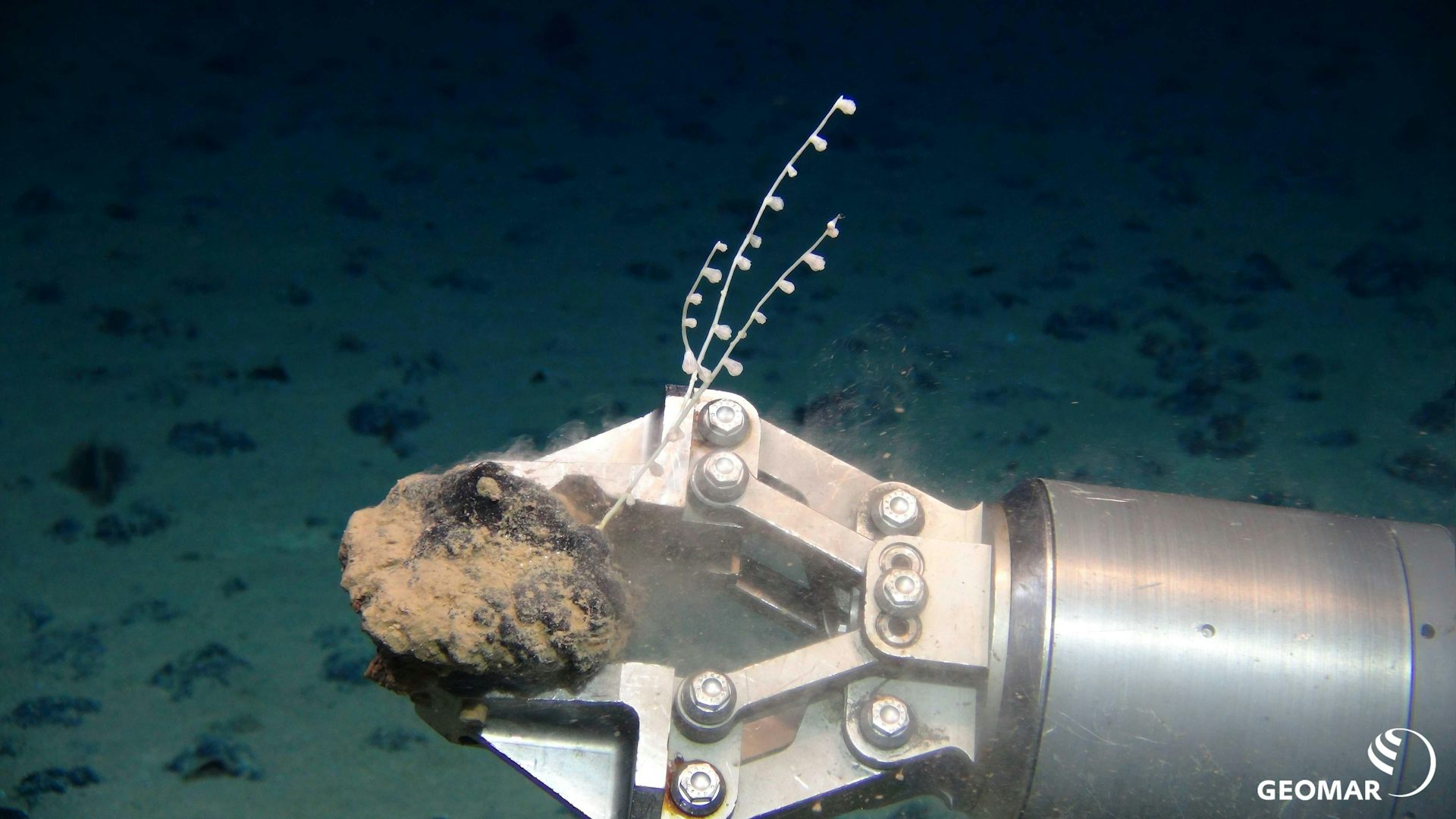 Mining the ocean floor: 5 deep-sea sources of critical minerals essential to technology, and the fragile marine life at risk