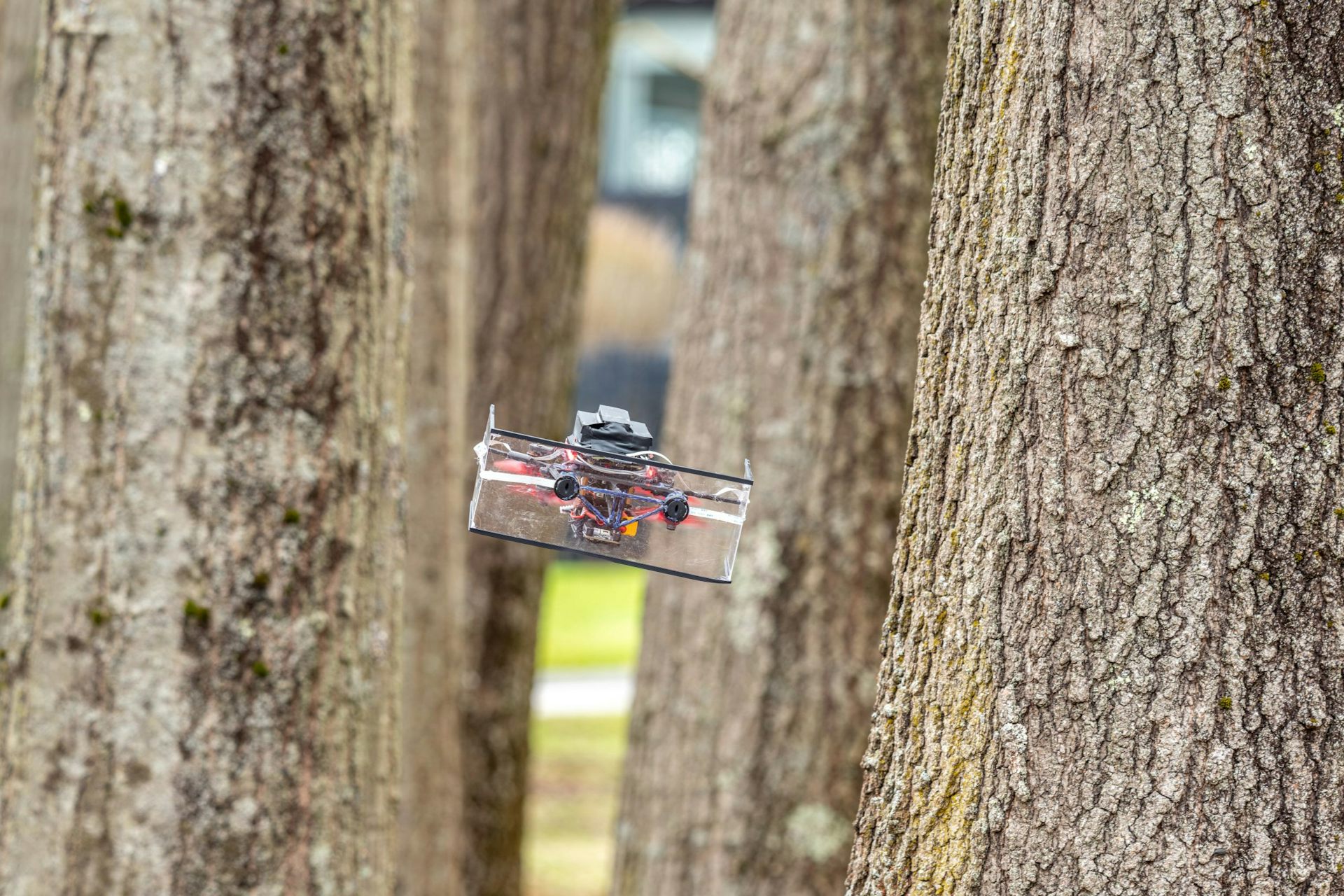 Ultralightweight sonar plus AI lets tiny drones navigate like bats