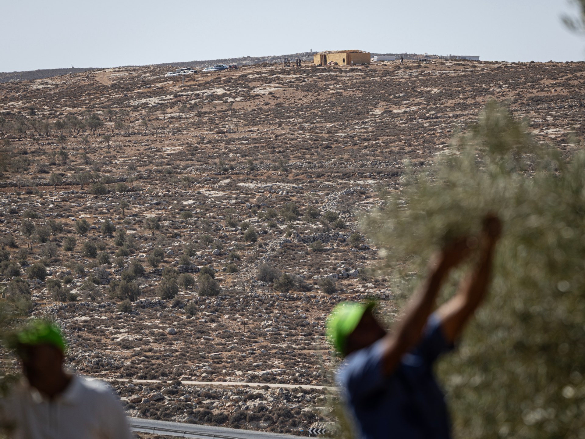 Israeli settlers shoot Palestinians in West Bank villages, steal livestock