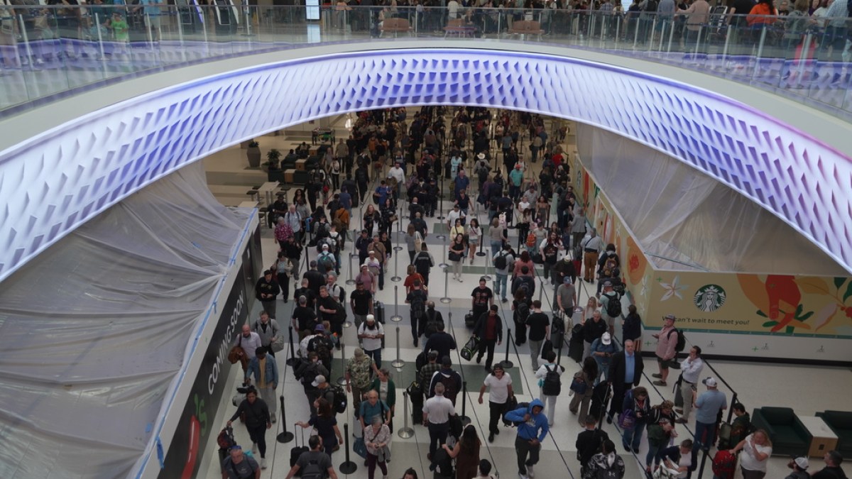 Long lines, unpaid TSA workers: Experts say US air travel system in crisis