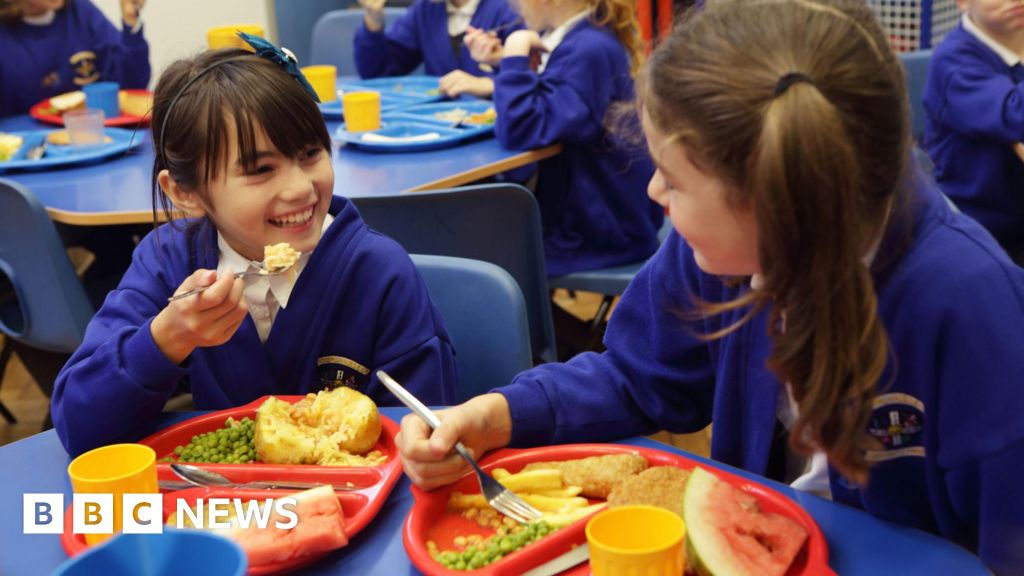 Deep-fried food banned in new plans for school dinners