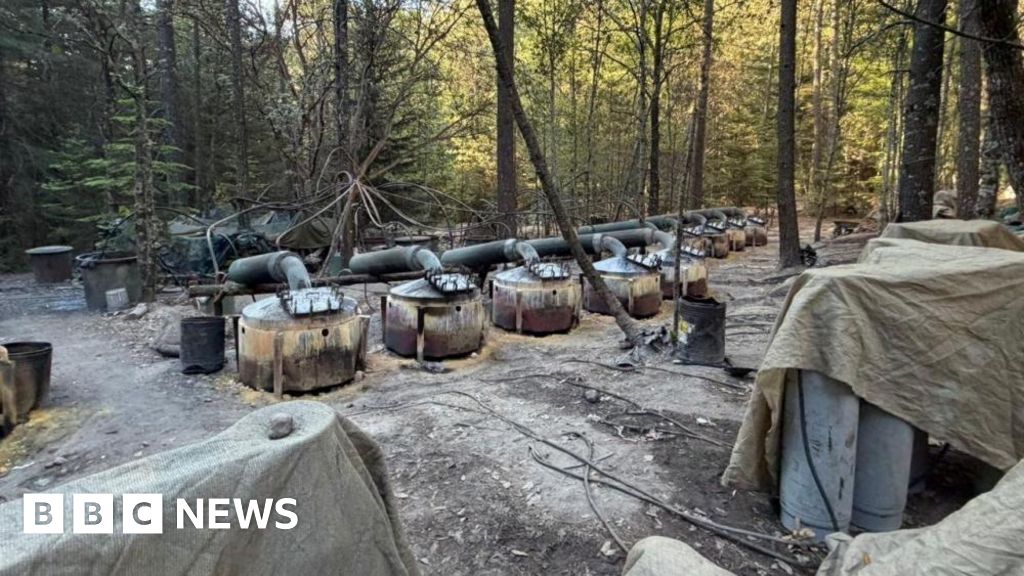 Mexican president questions why US officials killed in crash were operating in country