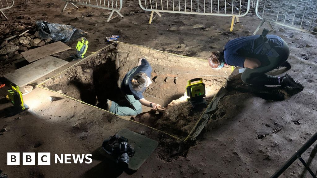 Prehistoric hippo and mammoth bones a 'once in a lifetime' find in cave under Welsh castle