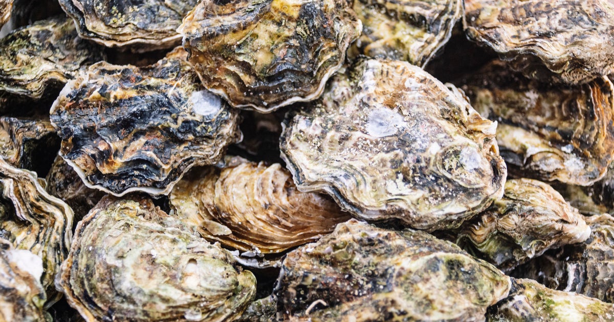 Raw oysters and clams recalled in 9 states over norovirus risks