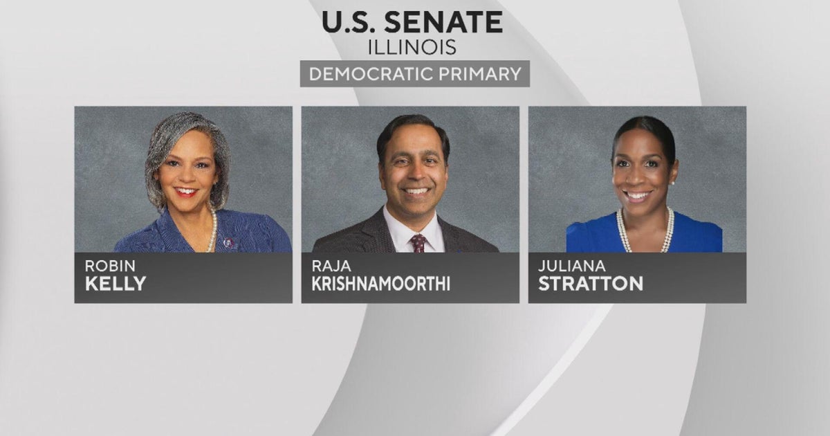 IL Senate Democratic primary leaning toward Stratton; Tracy wins GOP race