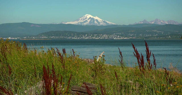 The Vanishing Wild | 60 Minutes Archive