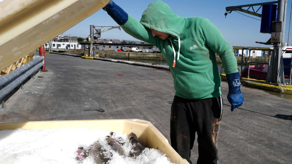 Warming Oceans and Waterways Threaten a Key Human Protein Source