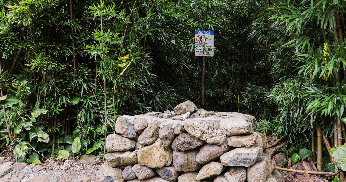 Wife of Maui doctor describes terrifying birthday hike at attempted murder trial - NBC News