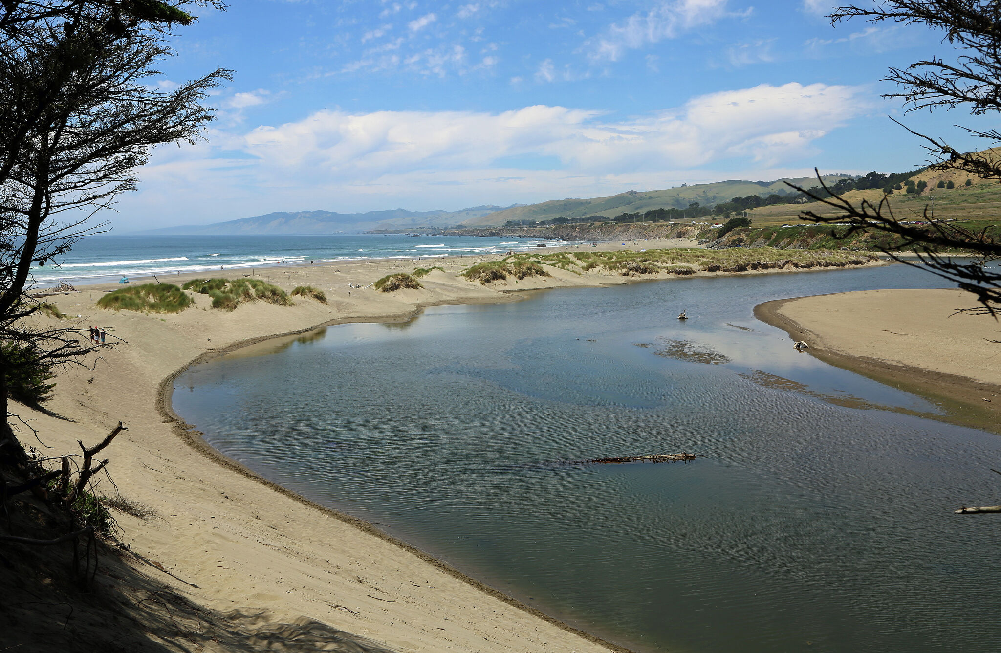 Remains found on Bay Area beach traced back to missing banker - SFGATE
