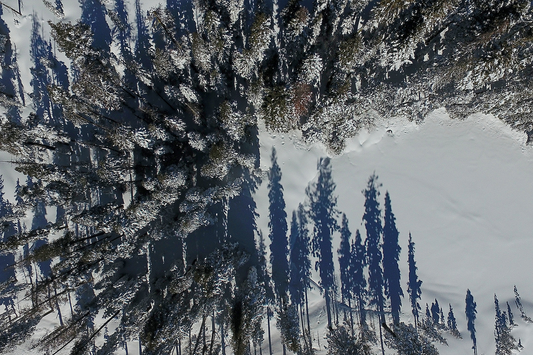 Some victims of deadly Tahoe avalanche wore airbags that never inflated - SFGATE