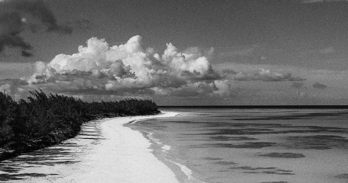 What We Know About the Disappearance of Lynette Hooker - The Cut