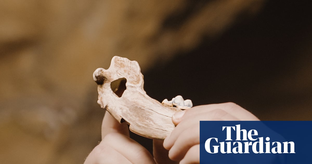 Bond between dogs and humans dates back more than 15,000 years, study finds - The Guardian