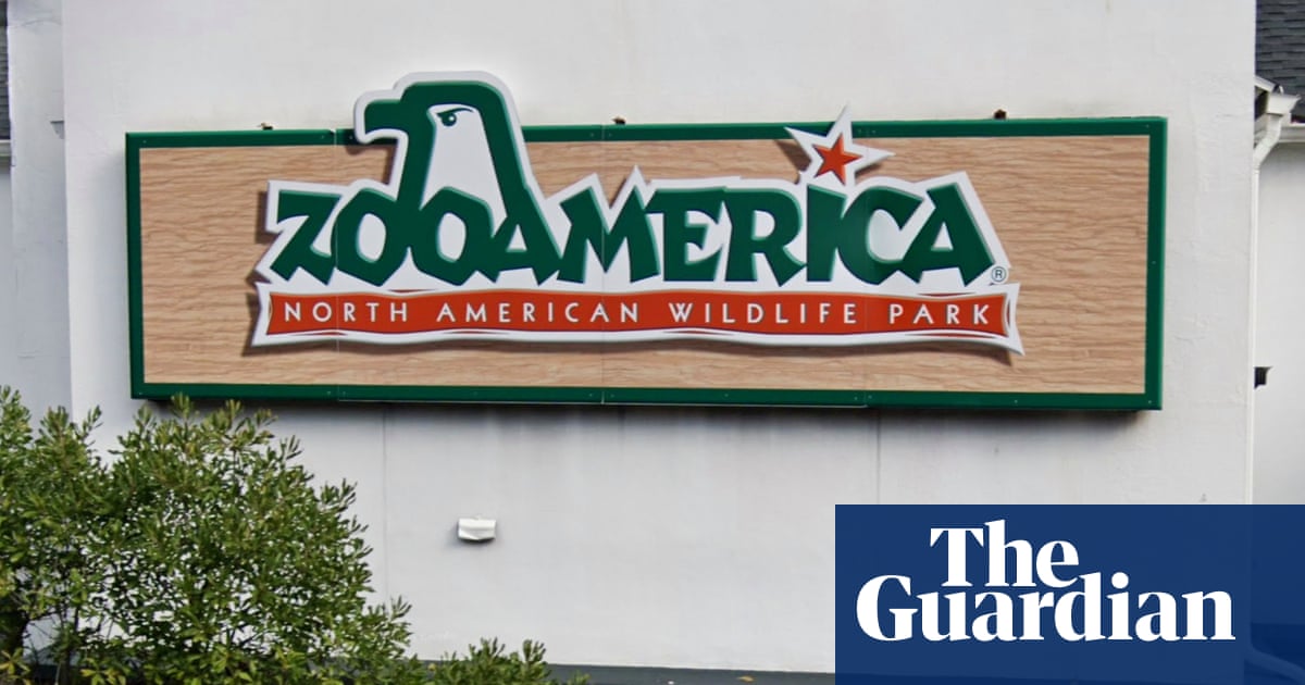 Parents charged after toddler snuck into wolf enclosure at Pennsylvania zoo - The Guardian
