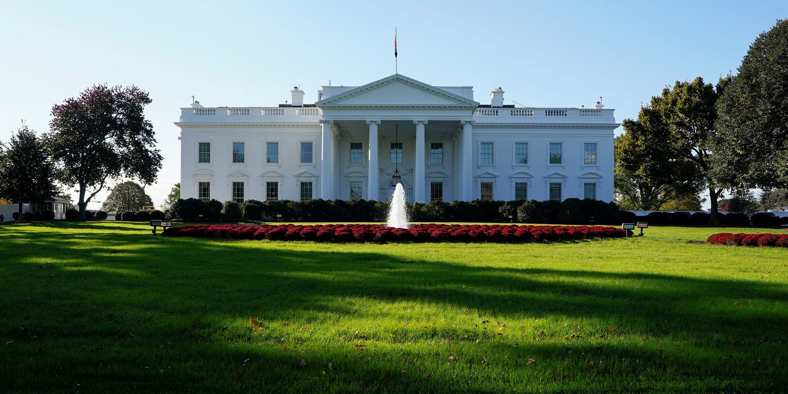 Alien.gov mystery grows after White House says 'Stay tuned' - USA Today