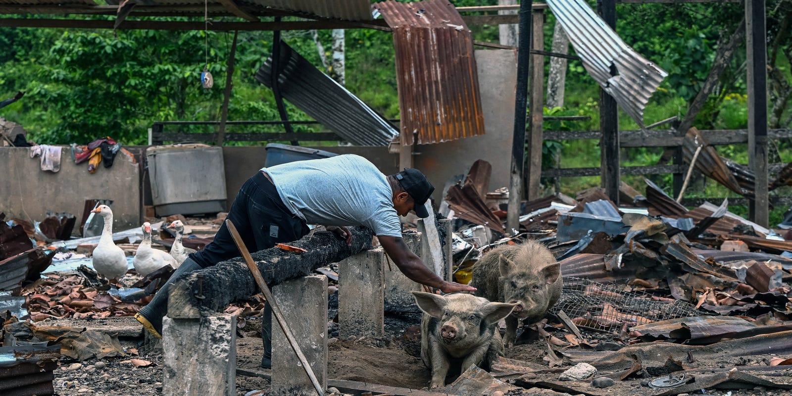 Ecuador defends bombing farm in joint US operation. What farm tour shows - USA Today