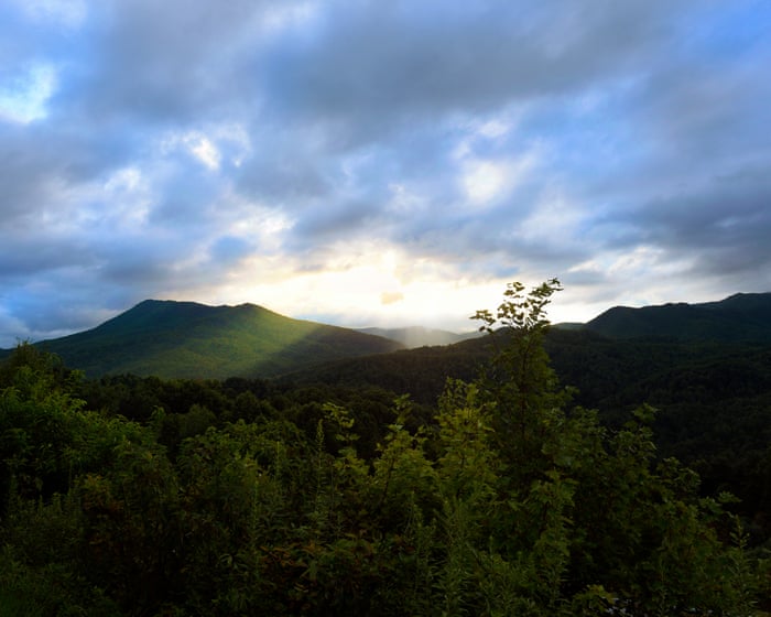 ‘Illegal’ forest service overhaul risks causing ‘chaos’ across US public lands, union claims