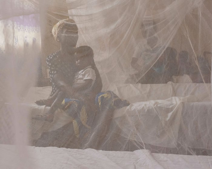 Maternal mortality rises in US aid-dependent countries under Republican presidents, study shows