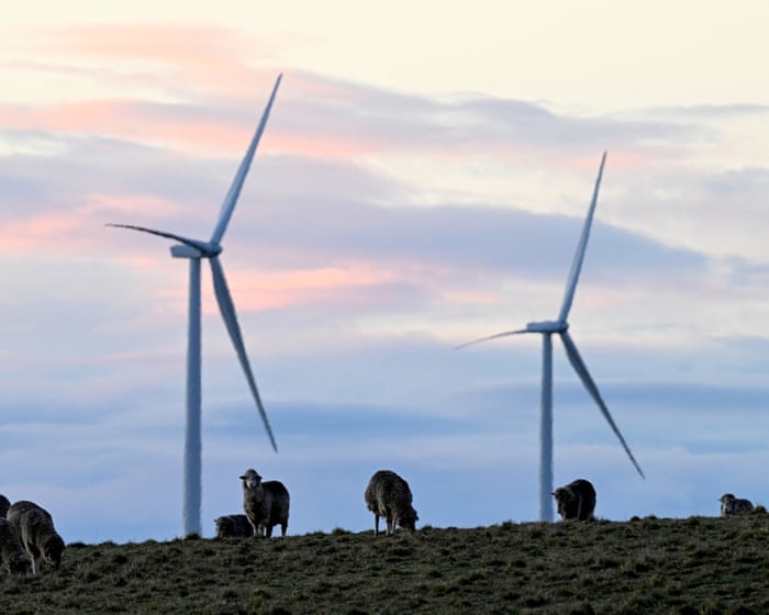 Power prices expected to fall by up to 10% from July, bringing ‘welcome relief’ to Australia’s east coast