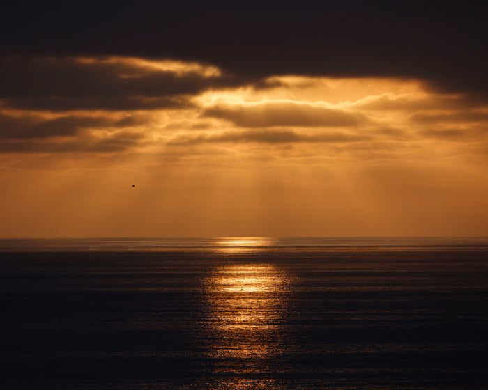 Record high ocean temperatures off southern California raise fears of prolonged marine heatwave