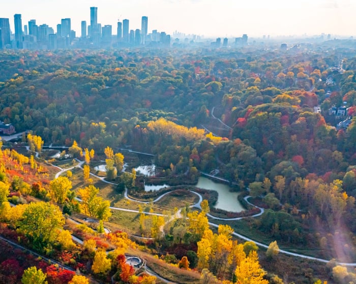 Row over ‘virtual gated community’ AI surveillance plan in Toronto neighbourhood
