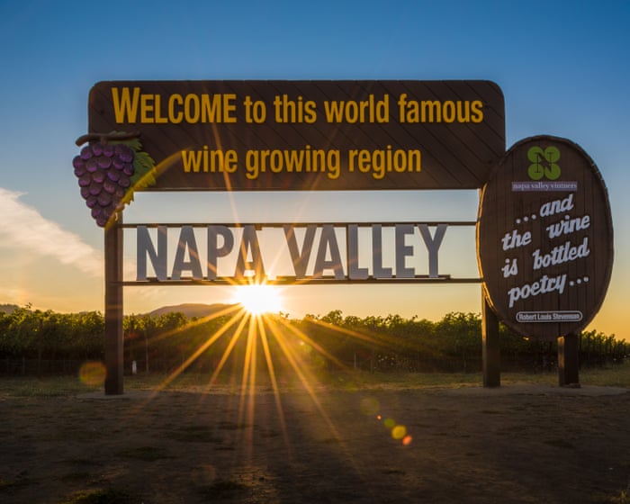 Shifting tastes, shrinking sales: Napa Valley’s wineries adapt amid ‘shocking’ downturn