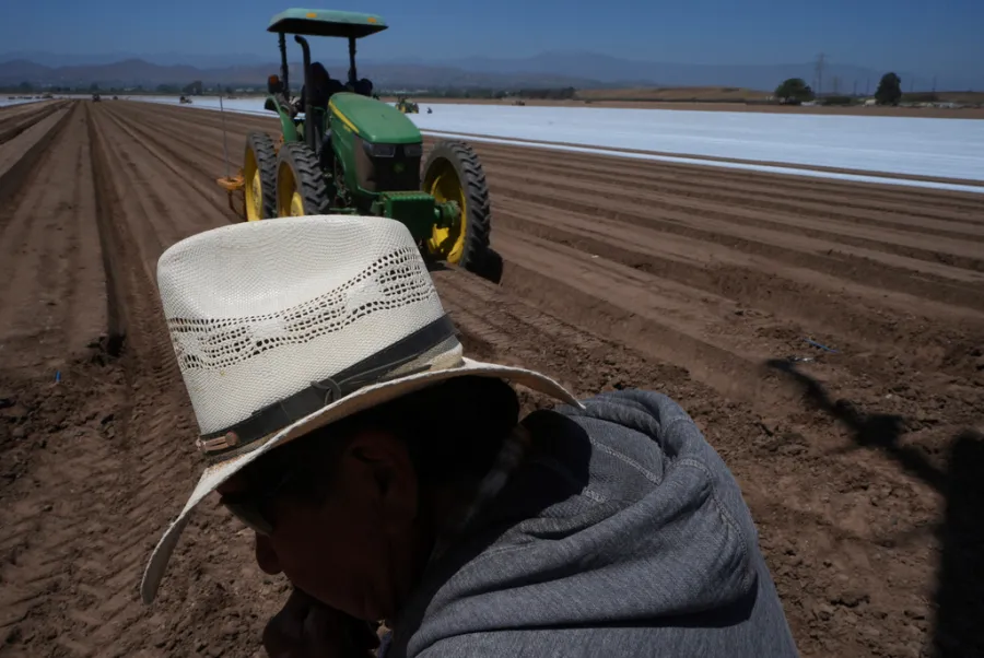 Skinny farm bill offers chance to deal with farmworker childcare crisis