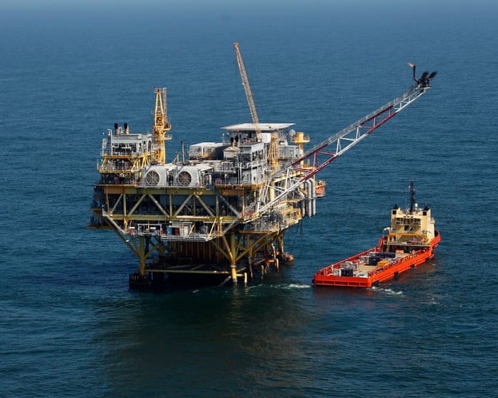 Trump to revoke protections for endangered species in Gulf of Mexico