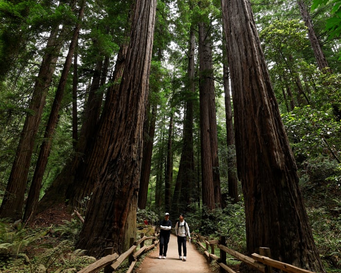 US Forest Service to move headquarters from Washington DC to Salt Lake City