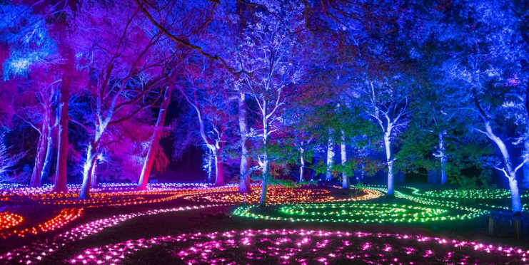 Biomass WA Museum & Kings Park Lightscape