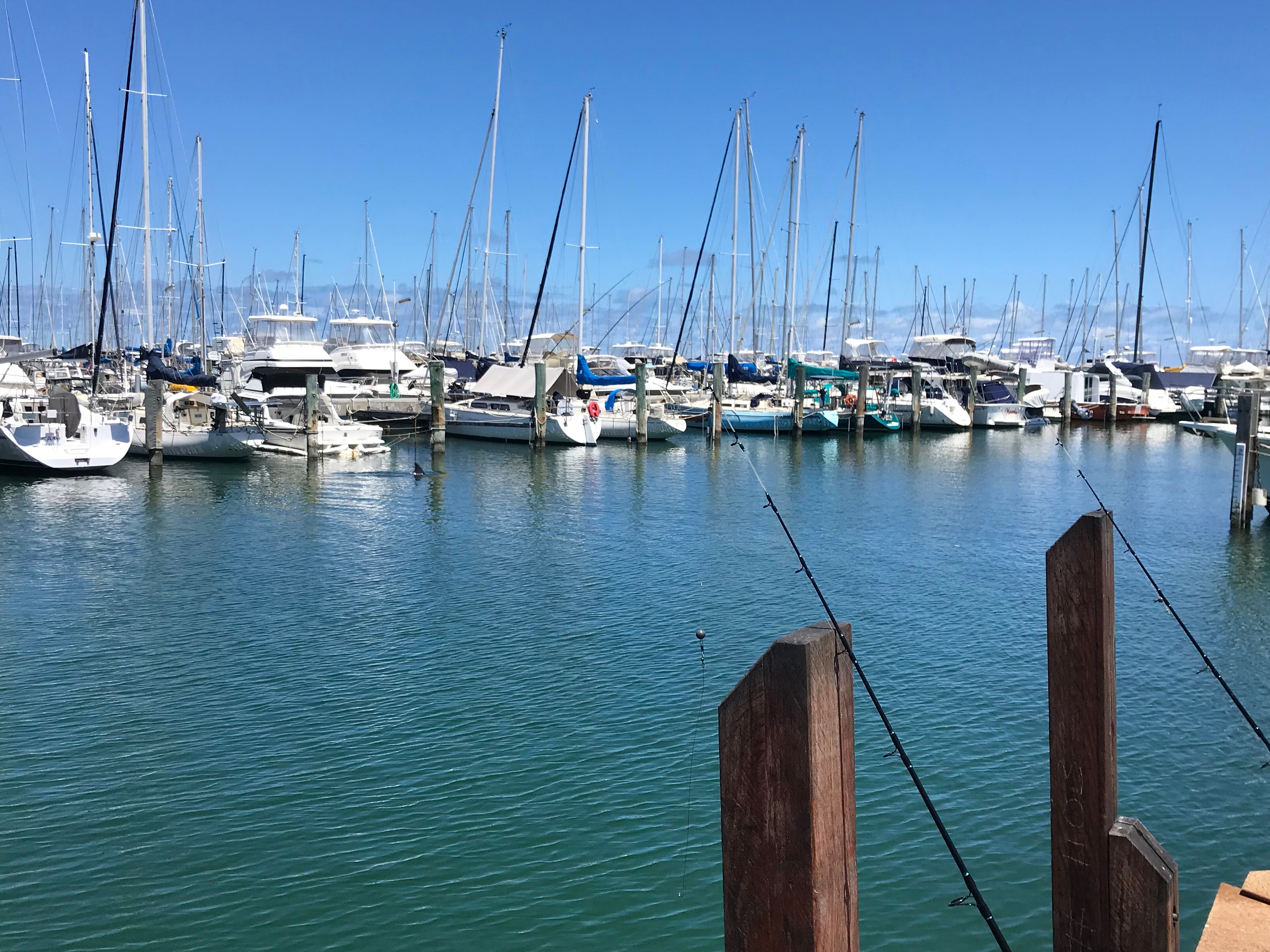 Fishability Fremantle
