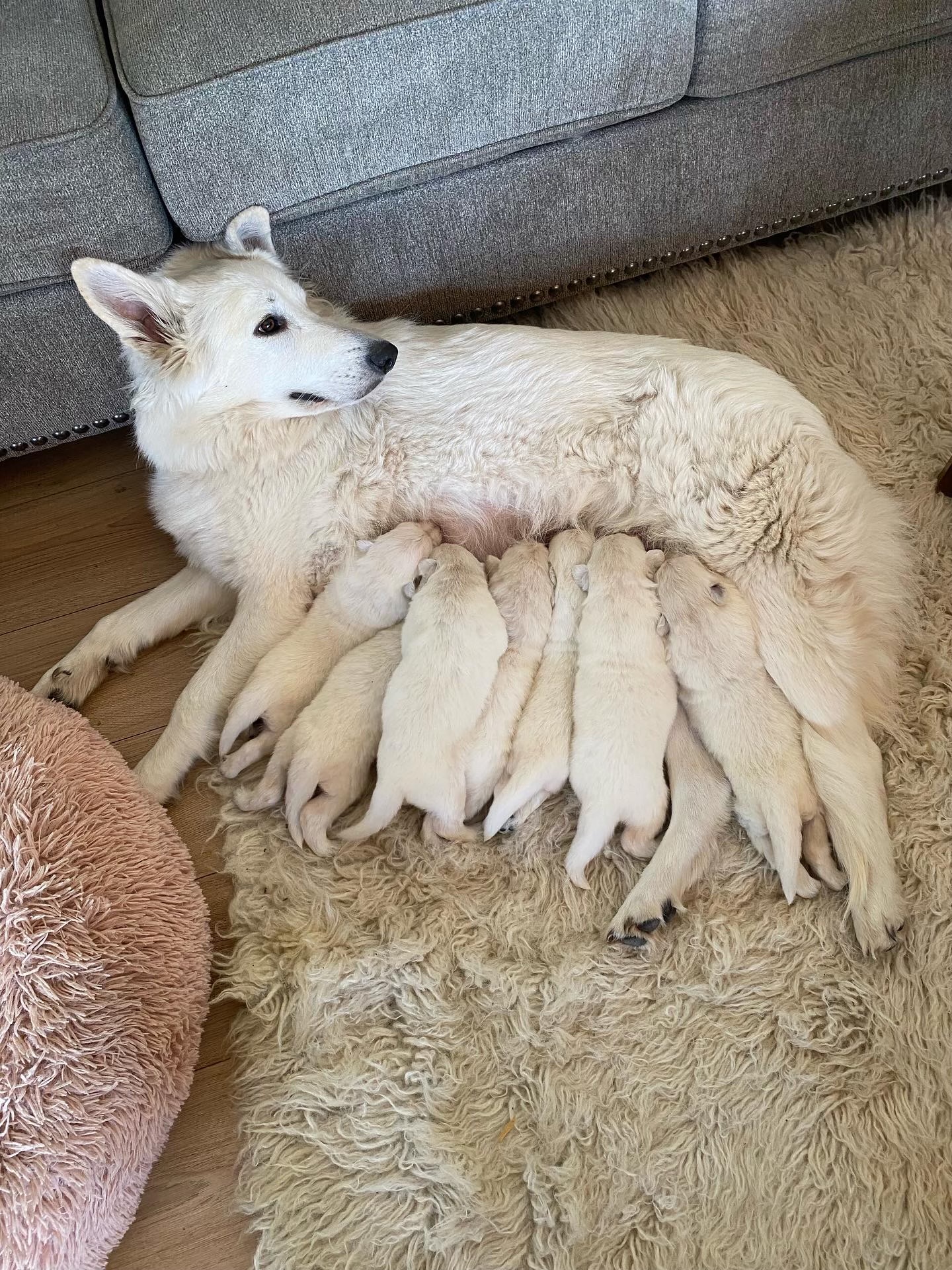Con su mama y hermanos