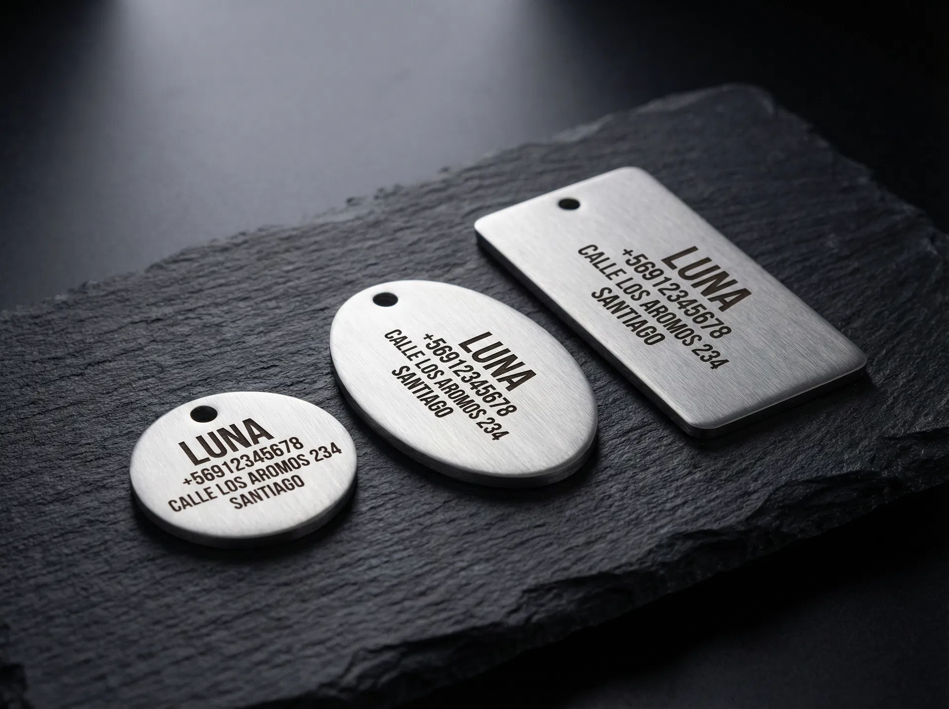 Placa de Identificación Mascota — Aluminio