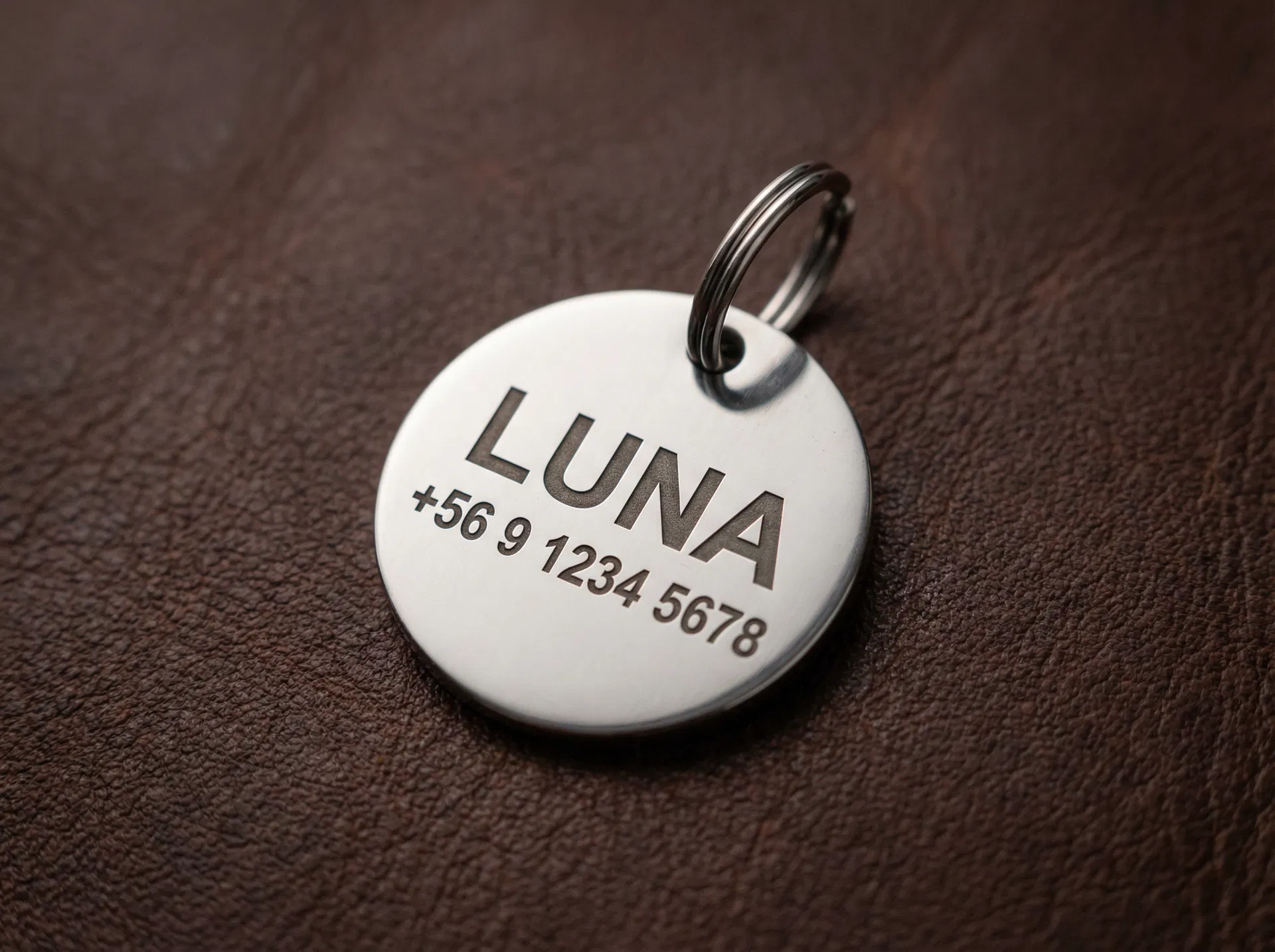 Placa de identificación para mascota con grabado láser — LUNA