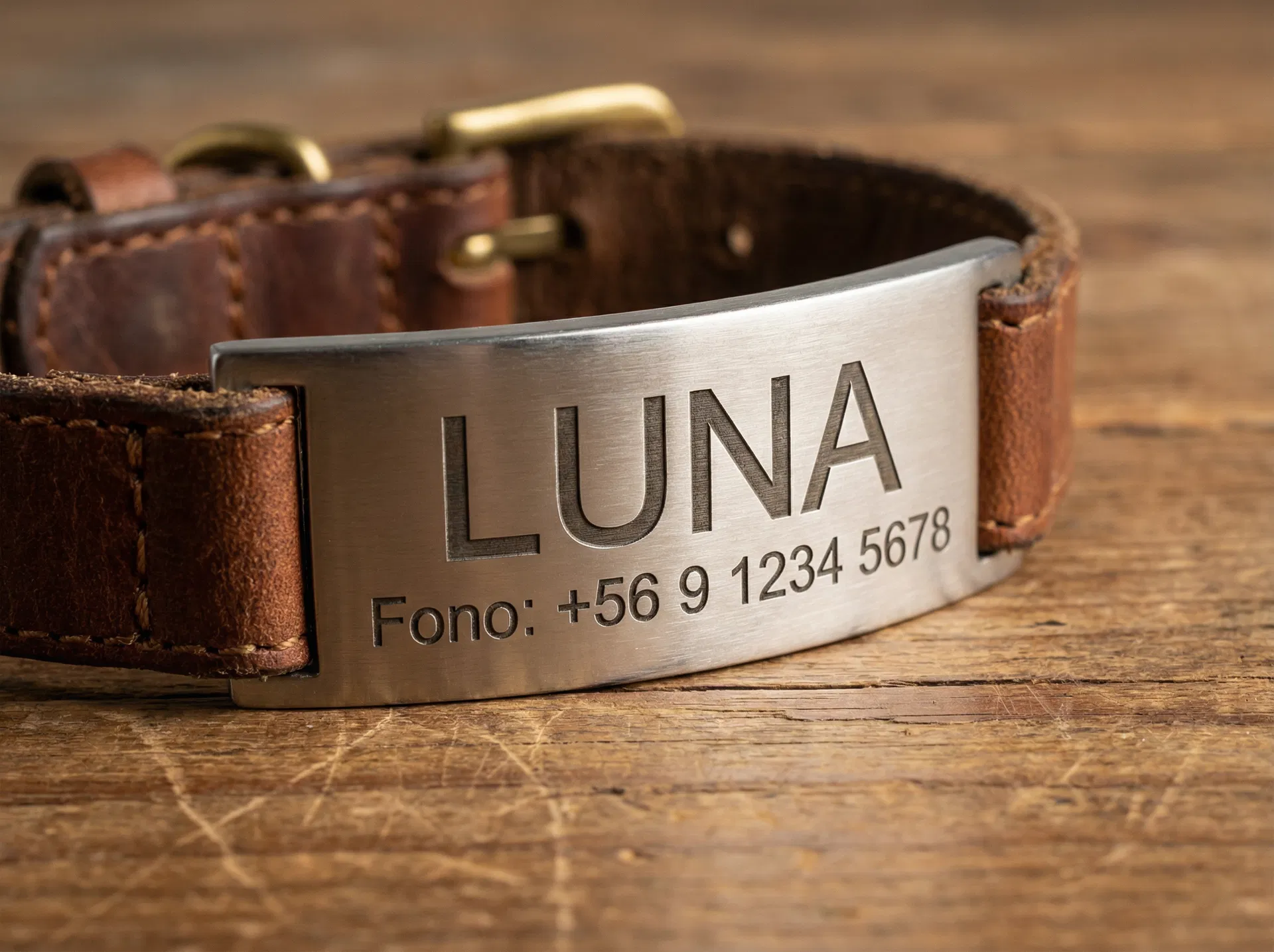 Placas de Identificación para Mascotas (Veterinaria)