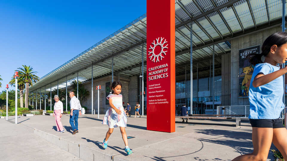 California Academy of Sciences