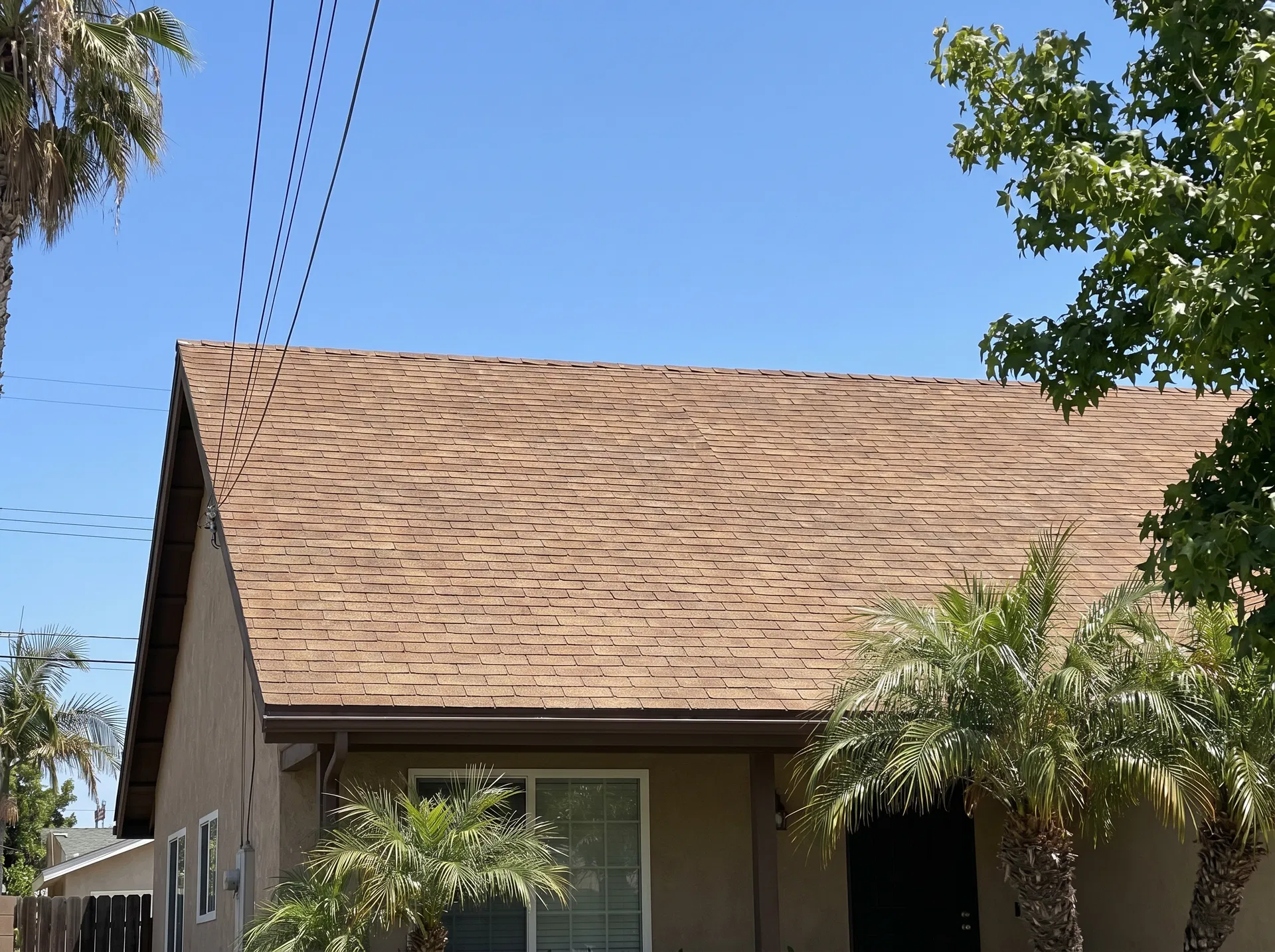 A residential roof seen from the ground — looks basically fine