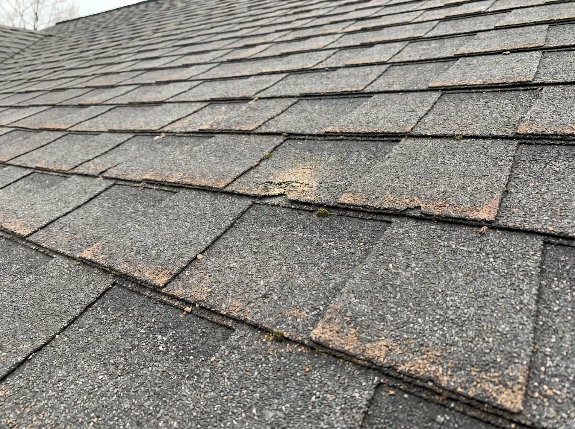 Close-up of aging shingles — subtle granule loss, slightly dry