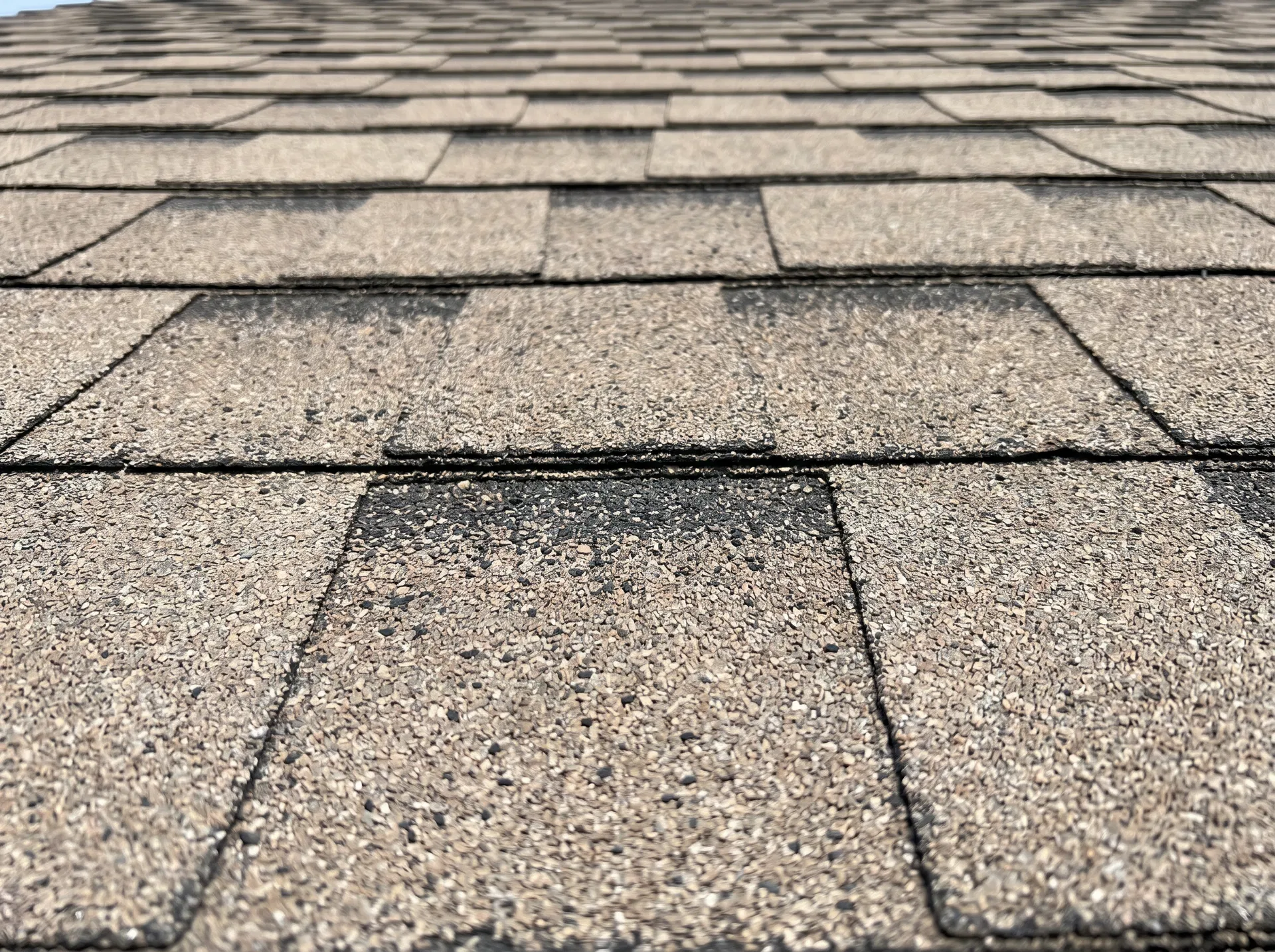 Close-up of slightly faded asphalt shingles — granules thinning, binder drying