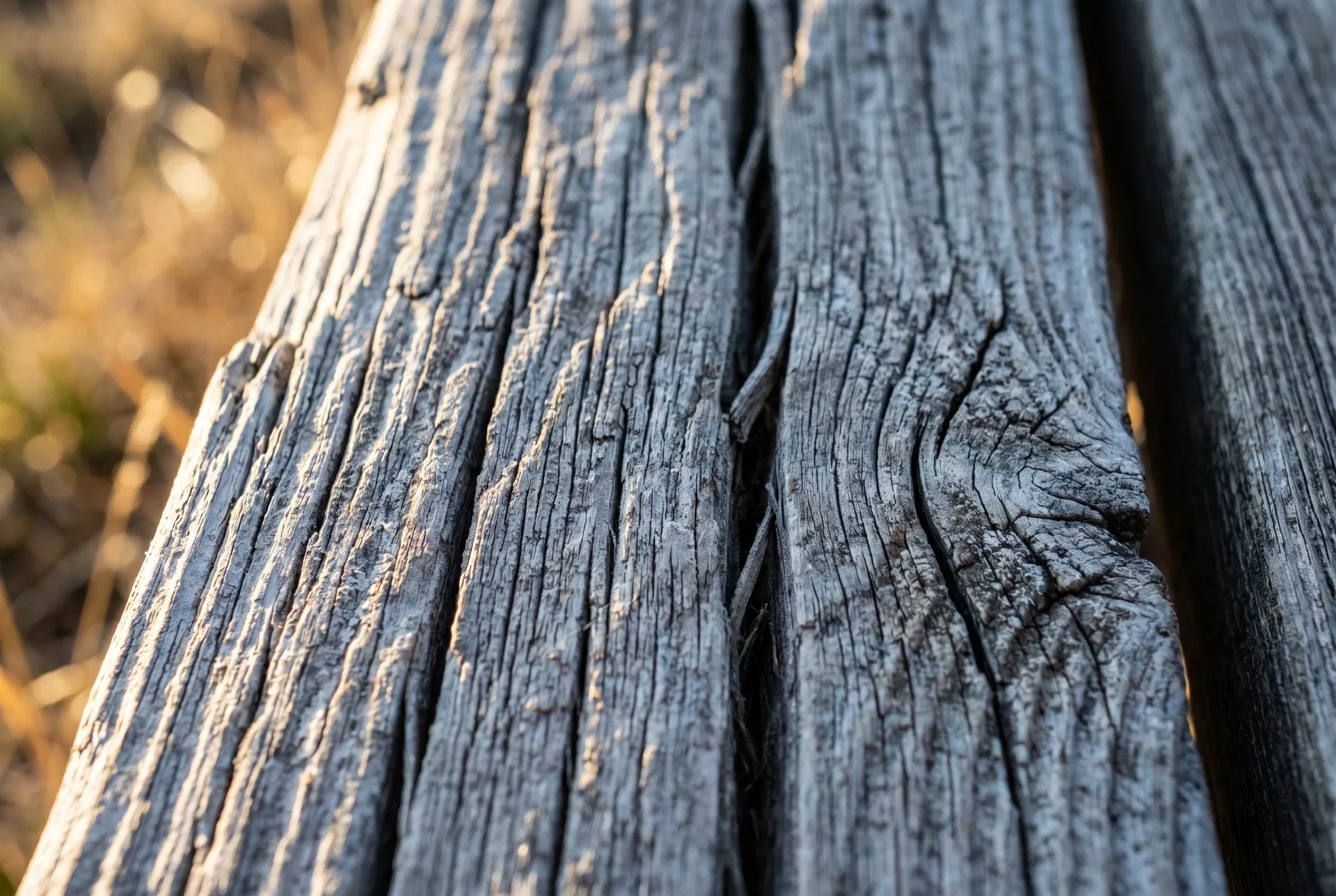 UV-damaged cedar fence — grey, cracked, grain separation