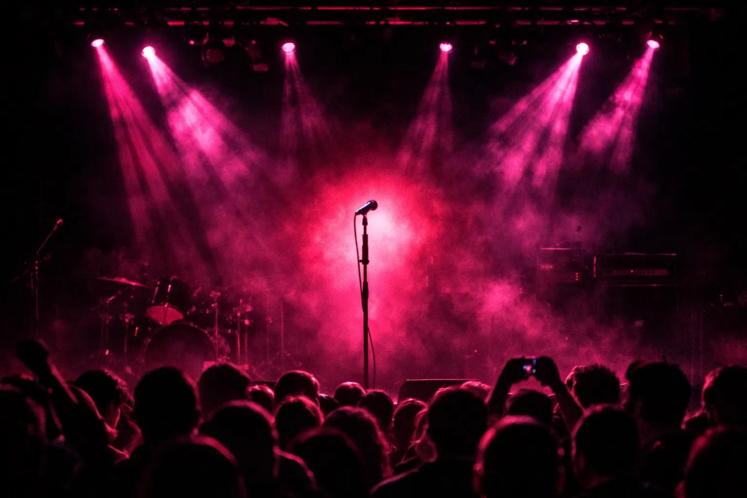 Musica & Concerti