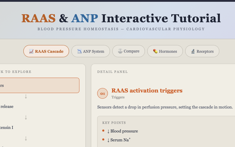 RAAS ANP w/Annotations CherNotes