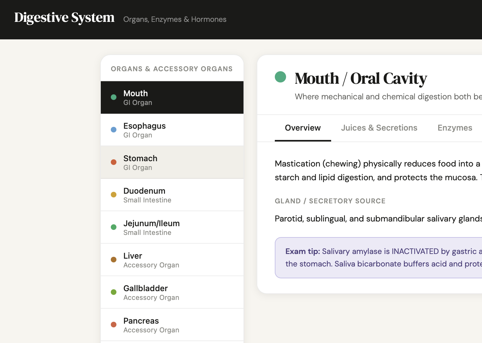 Digestive System Interactive CherNotes
