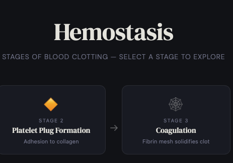 Hemostasis Interactive CherNotes