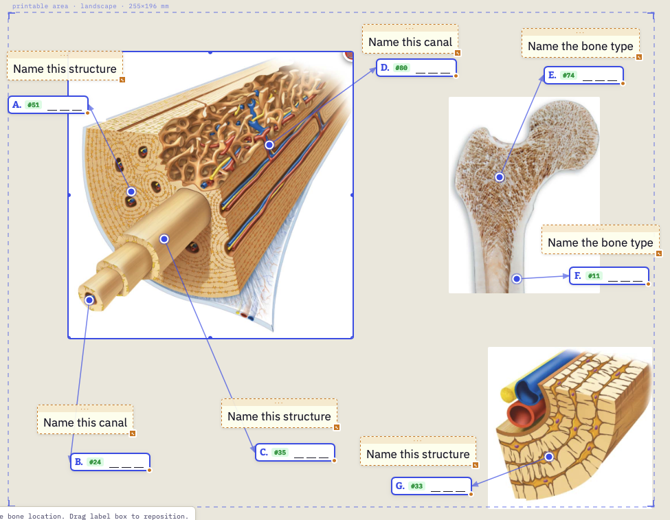 Assigning Pins for student recall