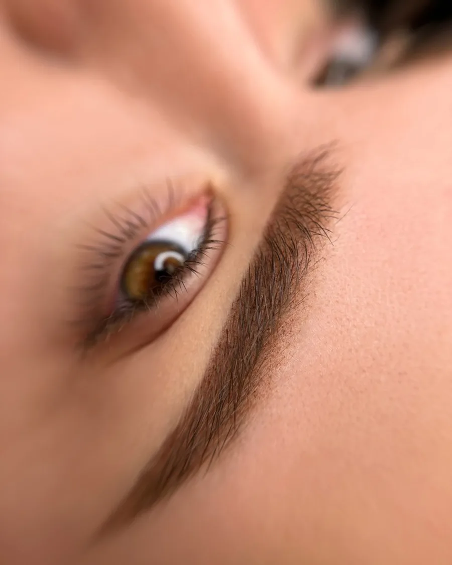 Nahaufnahme einer perfekt pigmentierten Powder Brows Augenbraue, die ein natürliches Ergebnis der PMU-Schulung zeigt.