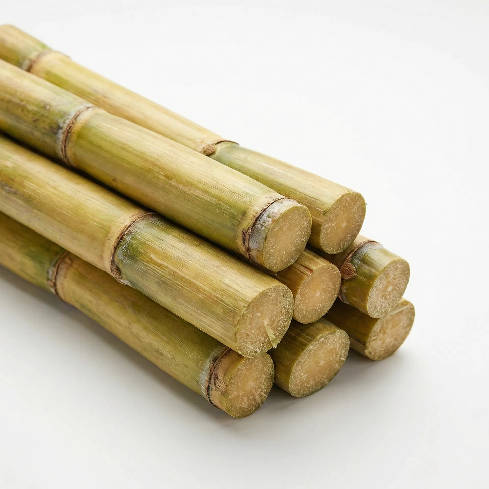 Bagasse (Sugarcane)