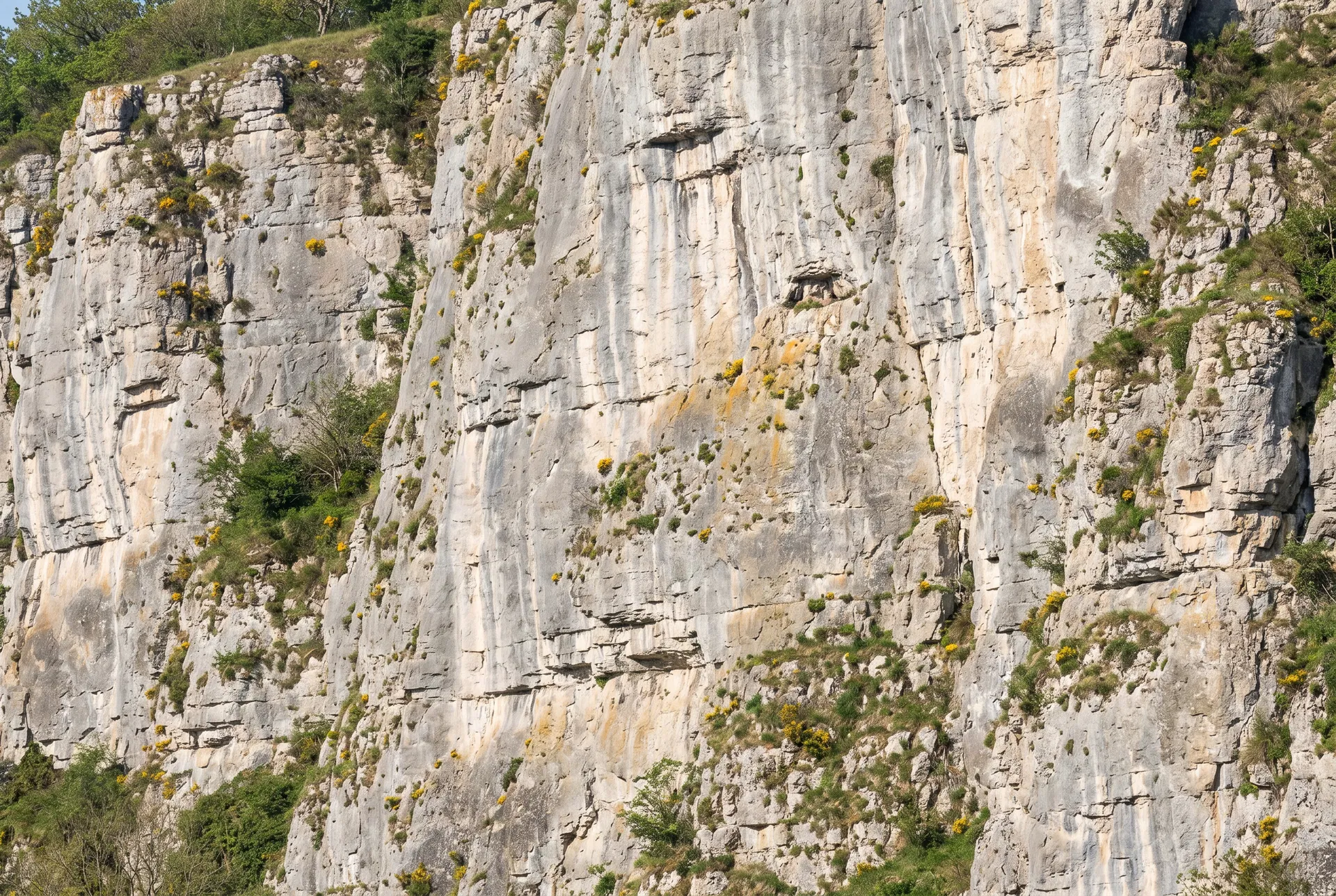 Vue large de la falaise de Couvin où se situe la corniche des grands-ducs.