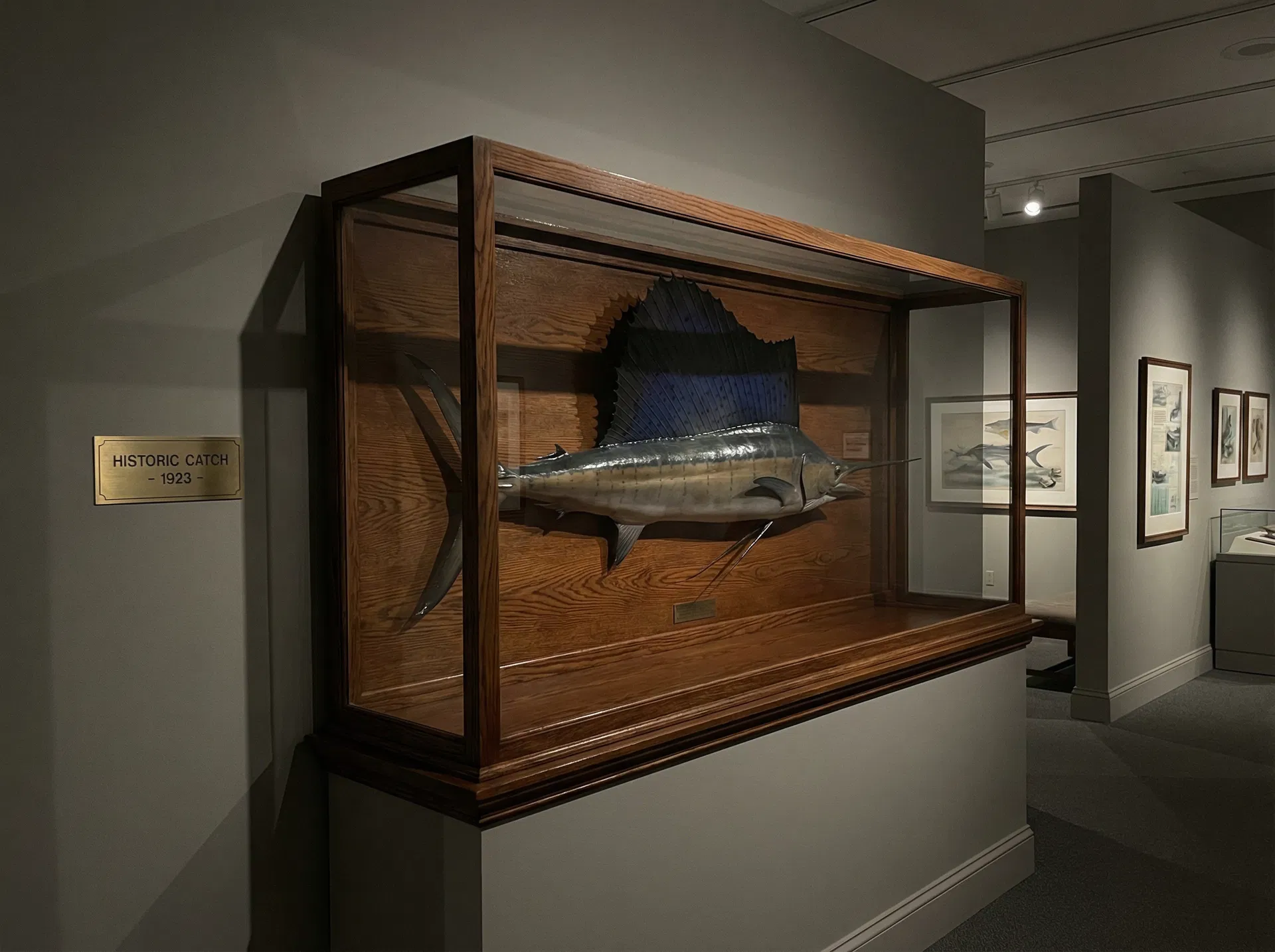 Taxidermy portfolio piece 3