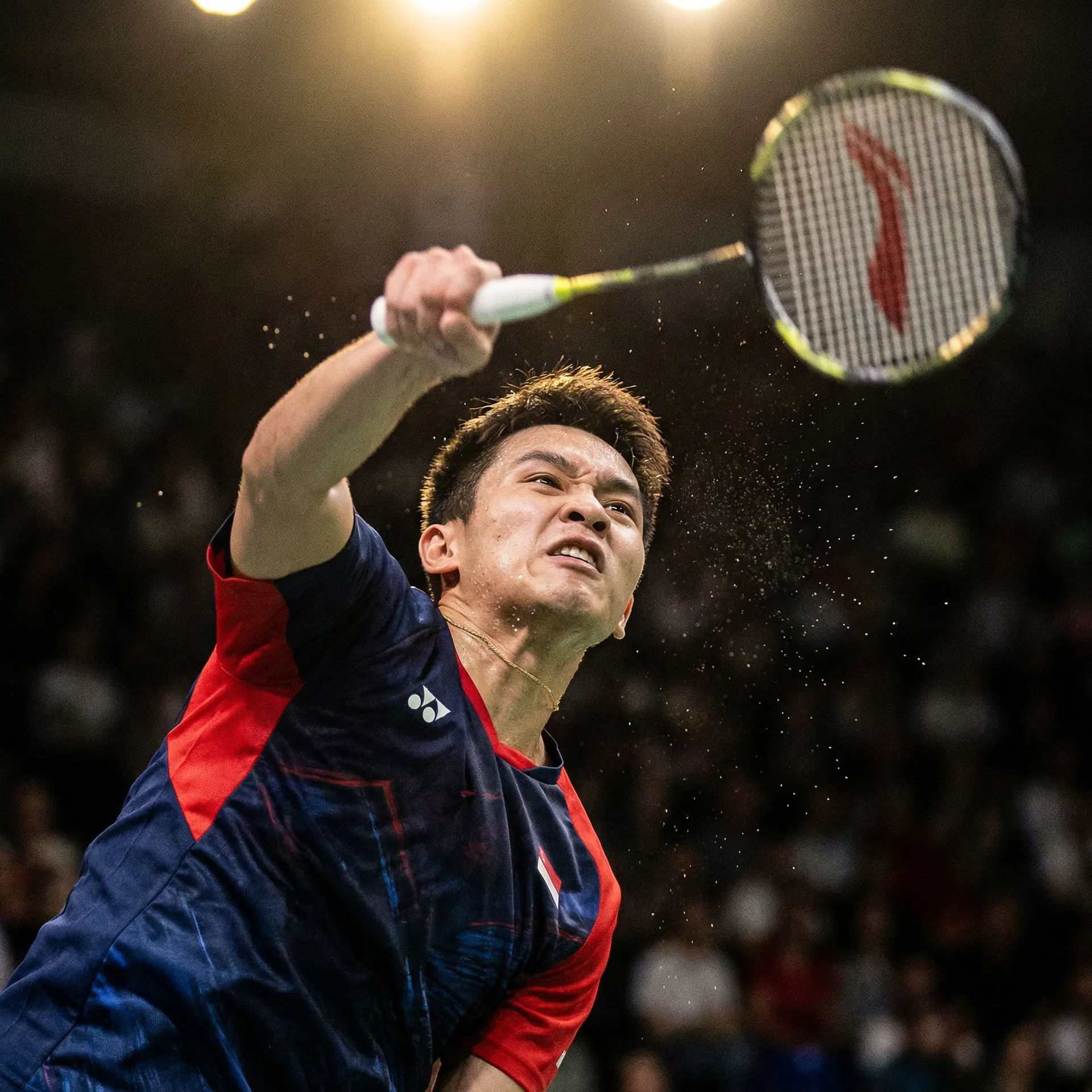 Tập luyện cầu lông